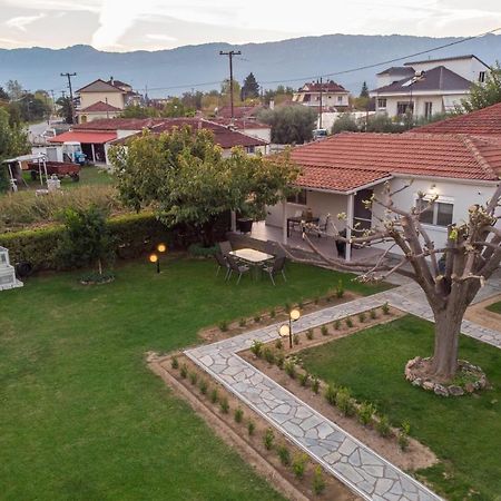 Castellano Vasiliki Villa Vasiliki  Buitenkant foto
